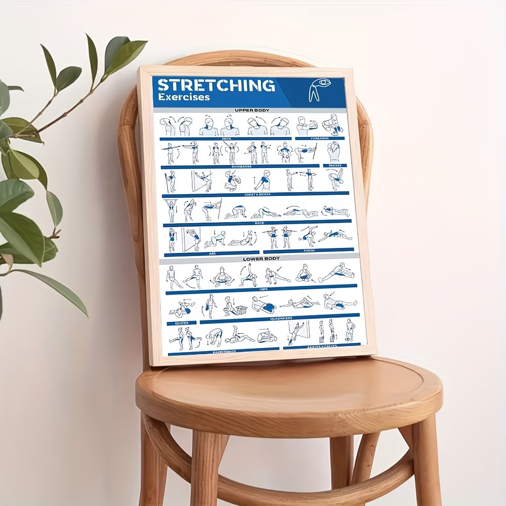 モダンなラベル付き全身ストレッチ体図 ジム用ウォールアートプ - Home Gym Room のレビューと価格